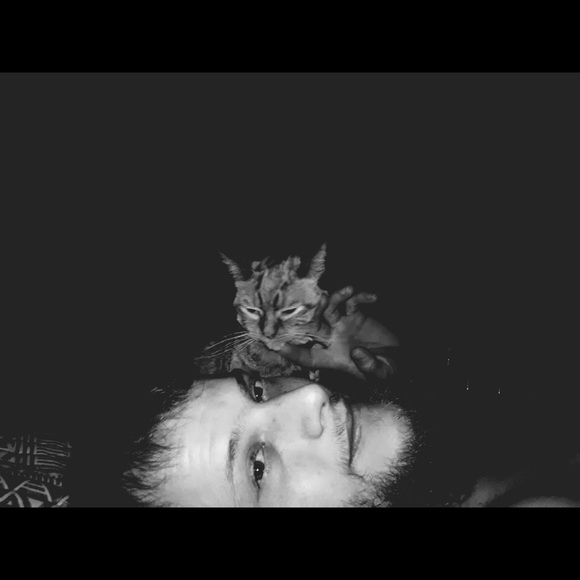 Meet your Posher, Cameron - Picture 6 of 6